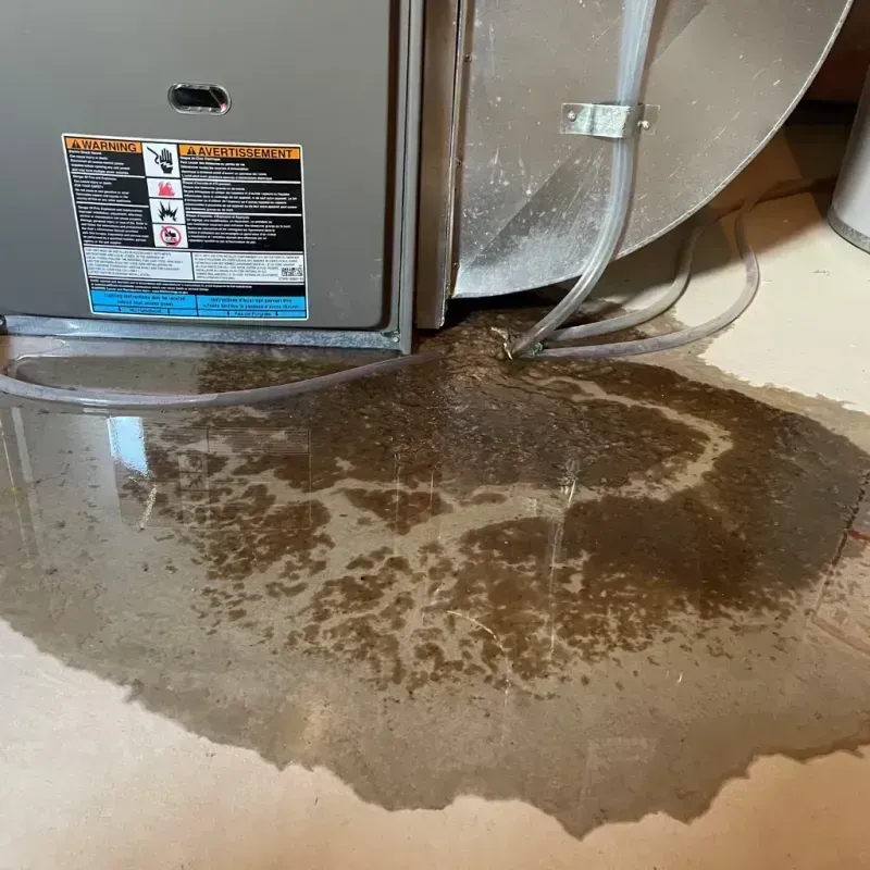 Appliance Leak Cleanup in Dundee, OR